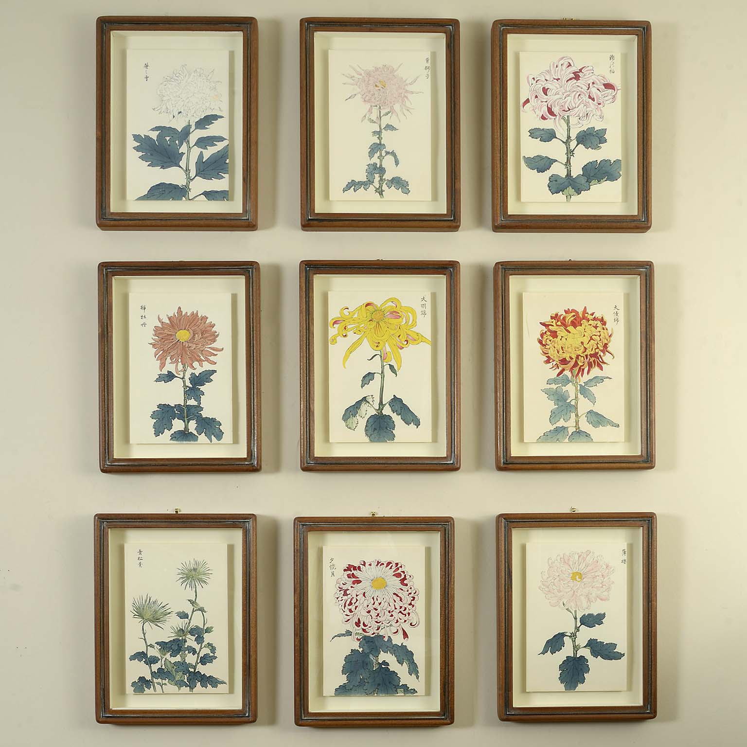 Nine Botanical Prints by Keika Hasegawa