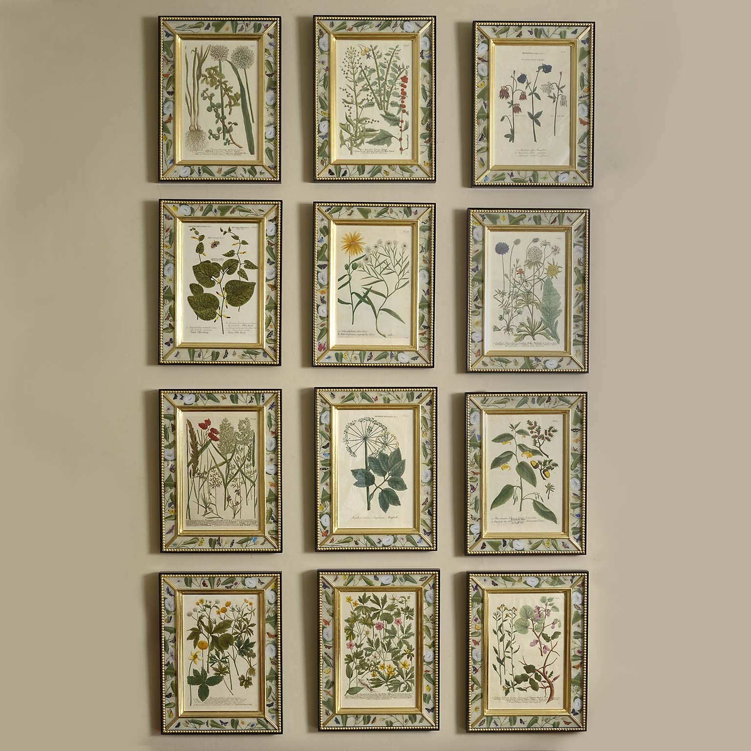 Set of 12 Hand Coloured Botanical Engravings by Johann Wilhelm Weinmann