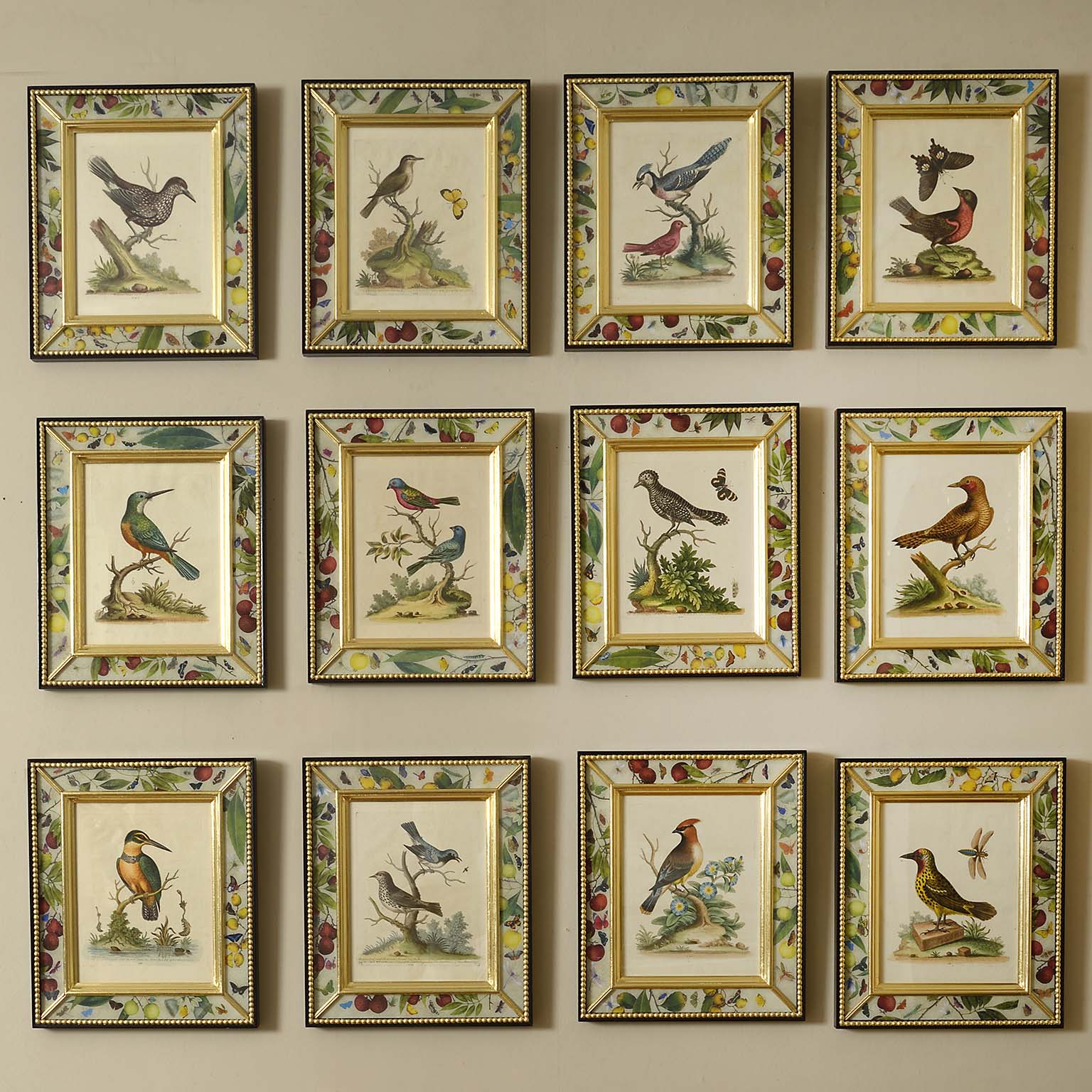 Twelve Mid Eighteenth Century Engravings of Birds with Original Hand Colouring by George Edwards