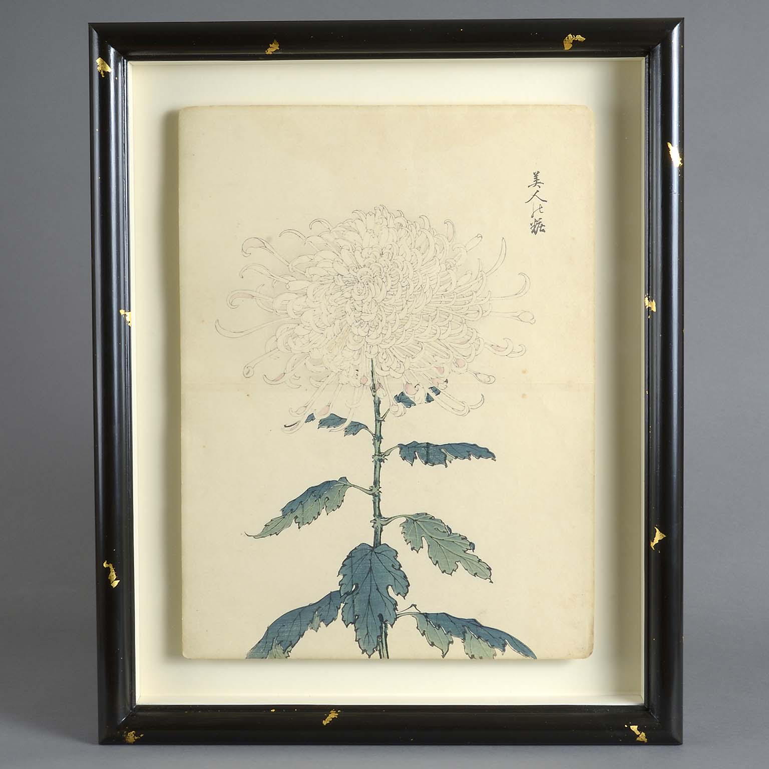 Five Double Page Japanese Botanical Prints by Keika Hasegawa 1893