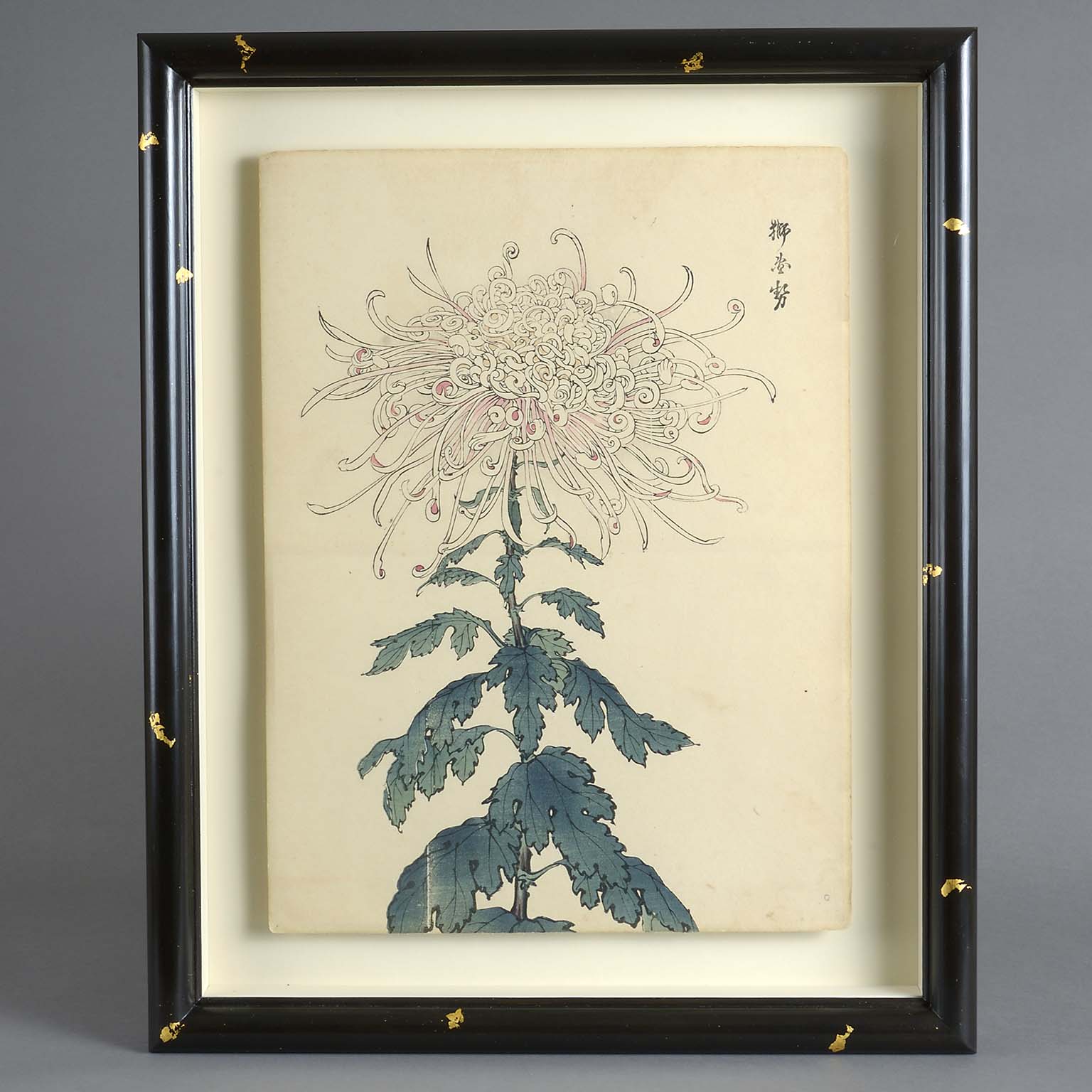 Five Double Page Japanese Botanical Prints by Keika Hasegawa 1893