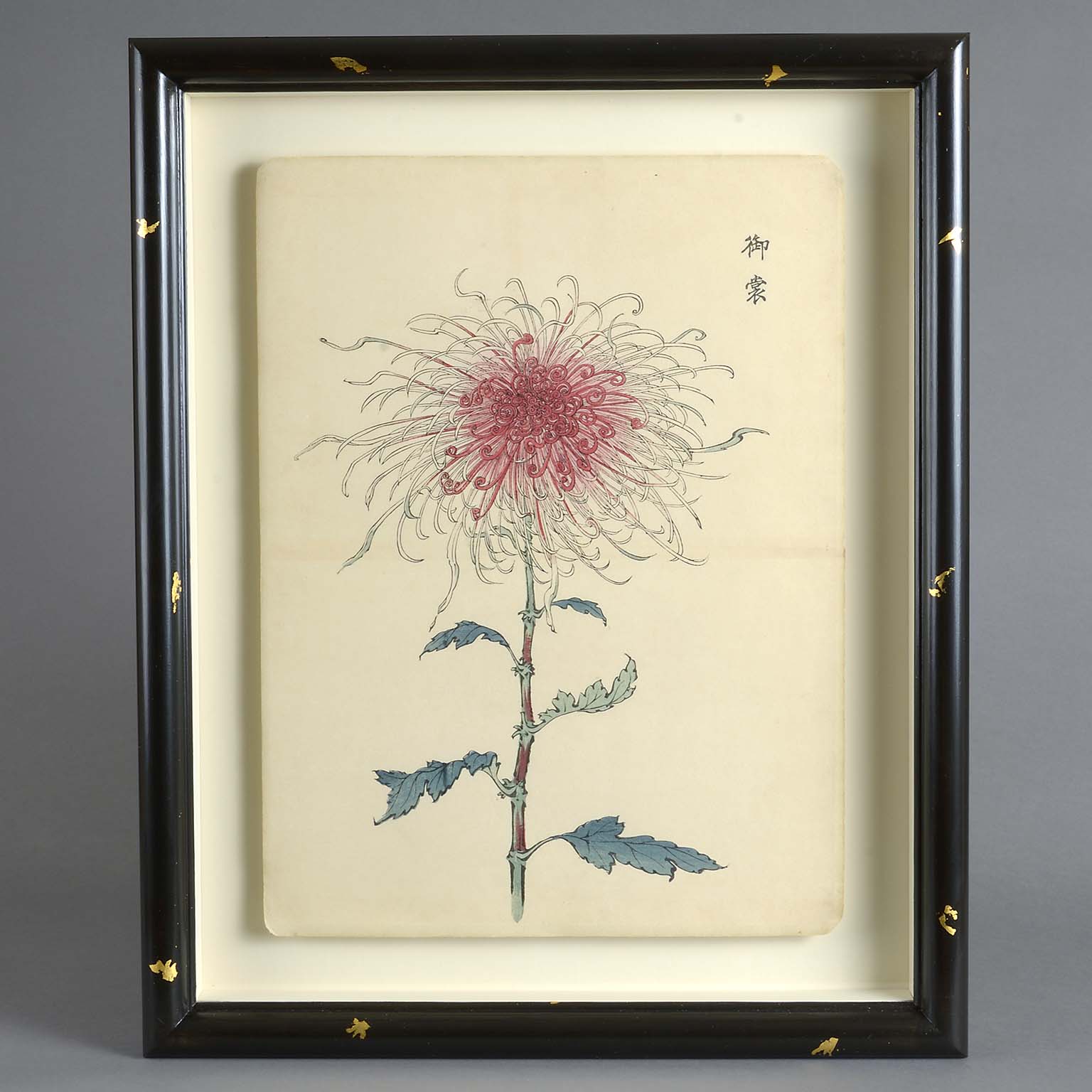Five Double Page Japanese Botanical Prints by Keika Hasegawa 1893