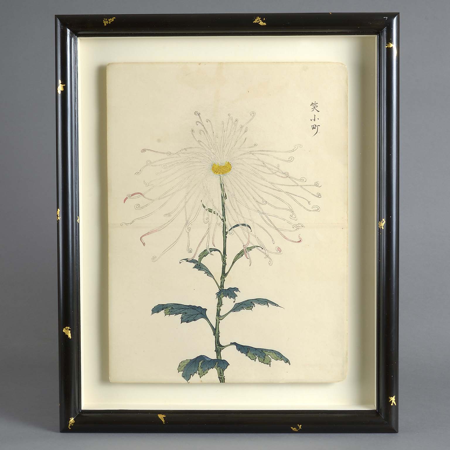 Five Double Page Japanese Botanical Prints by Keika Hasegawa 1893