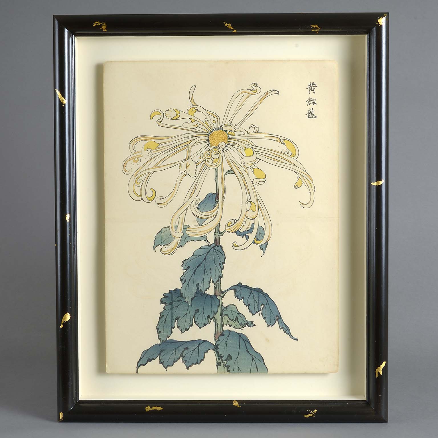 Five Double Page Japanese Botanical Prints by Keika Hasegawa 1893