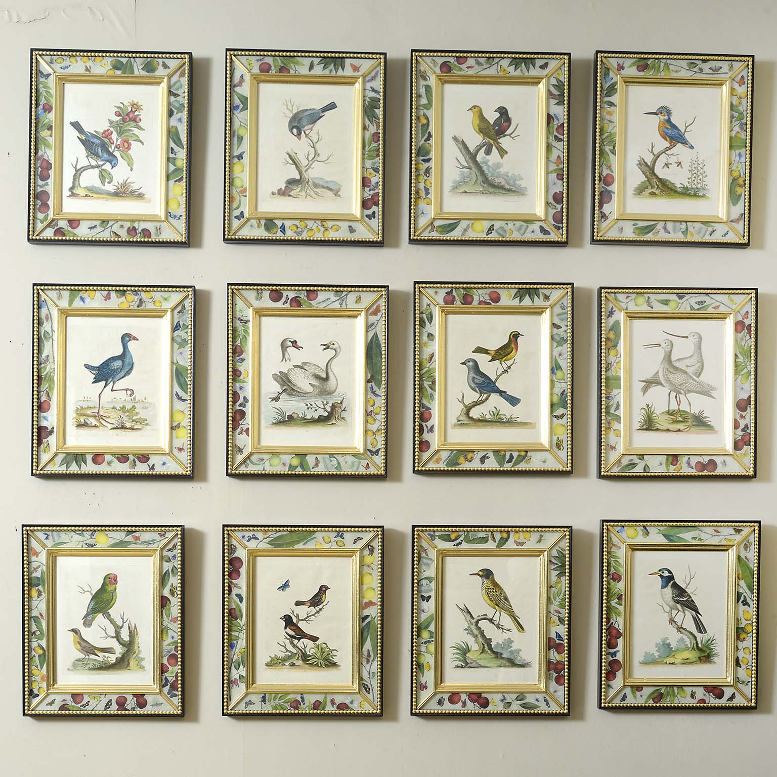 Twelve 18th Century Engravings of Birds with Original Hand Colouring by George Edwards