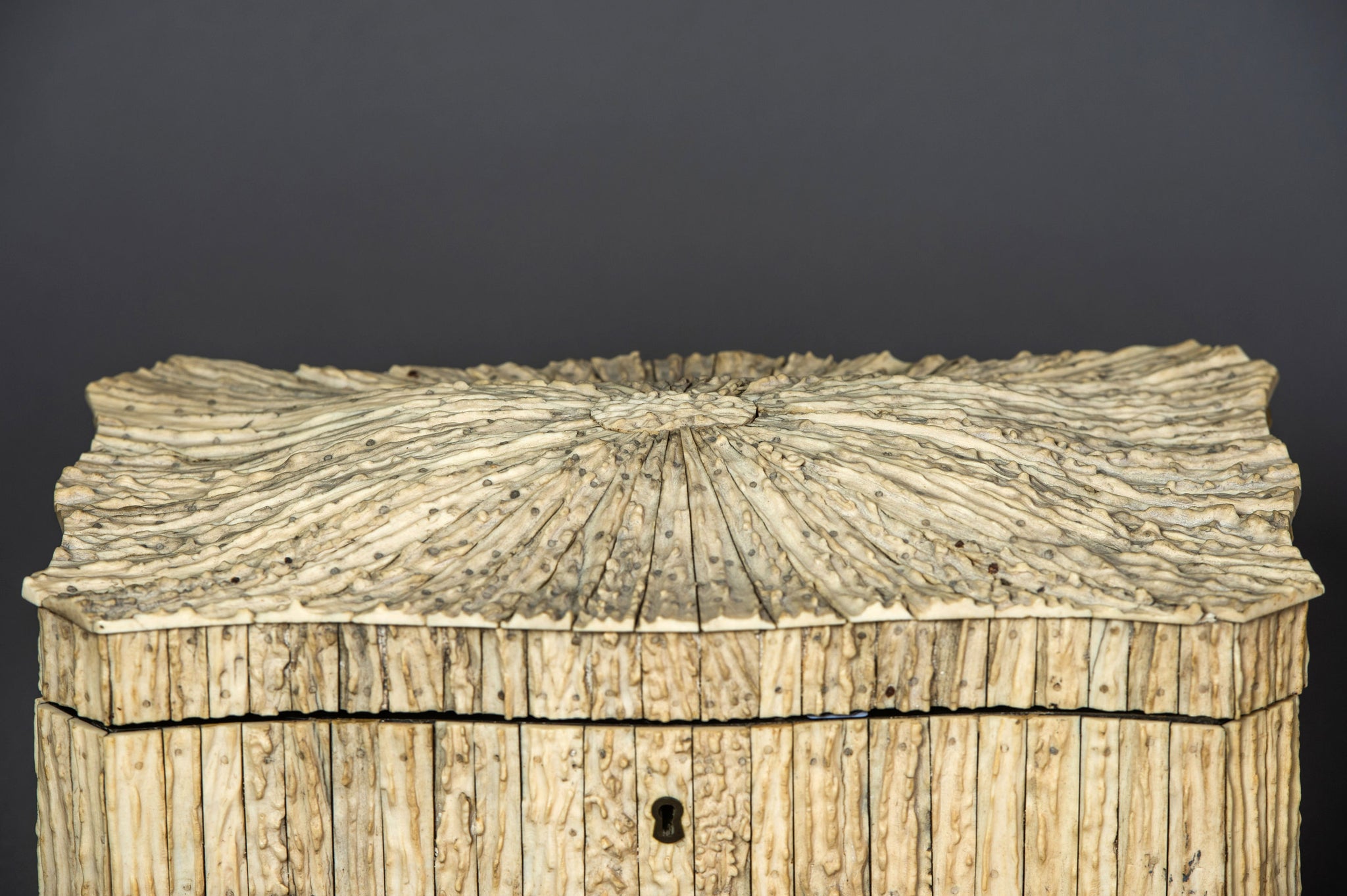 Large Indian Elk Horn Tea Caddy