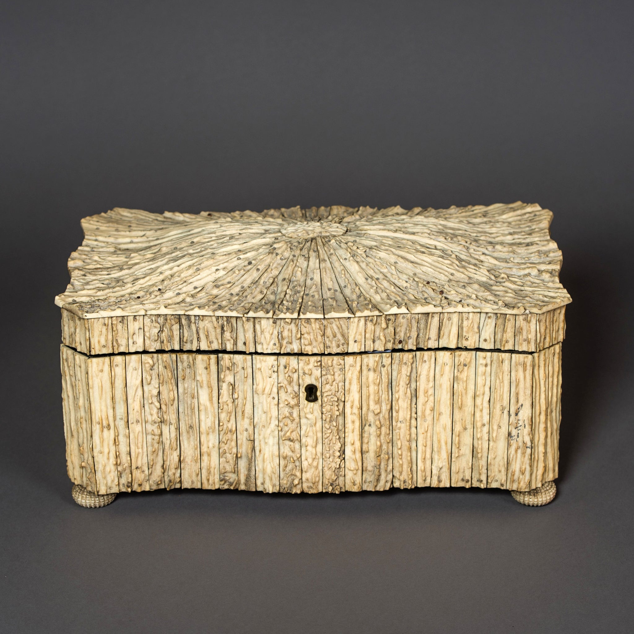 Large Indian Elk Horn Tea Caddy