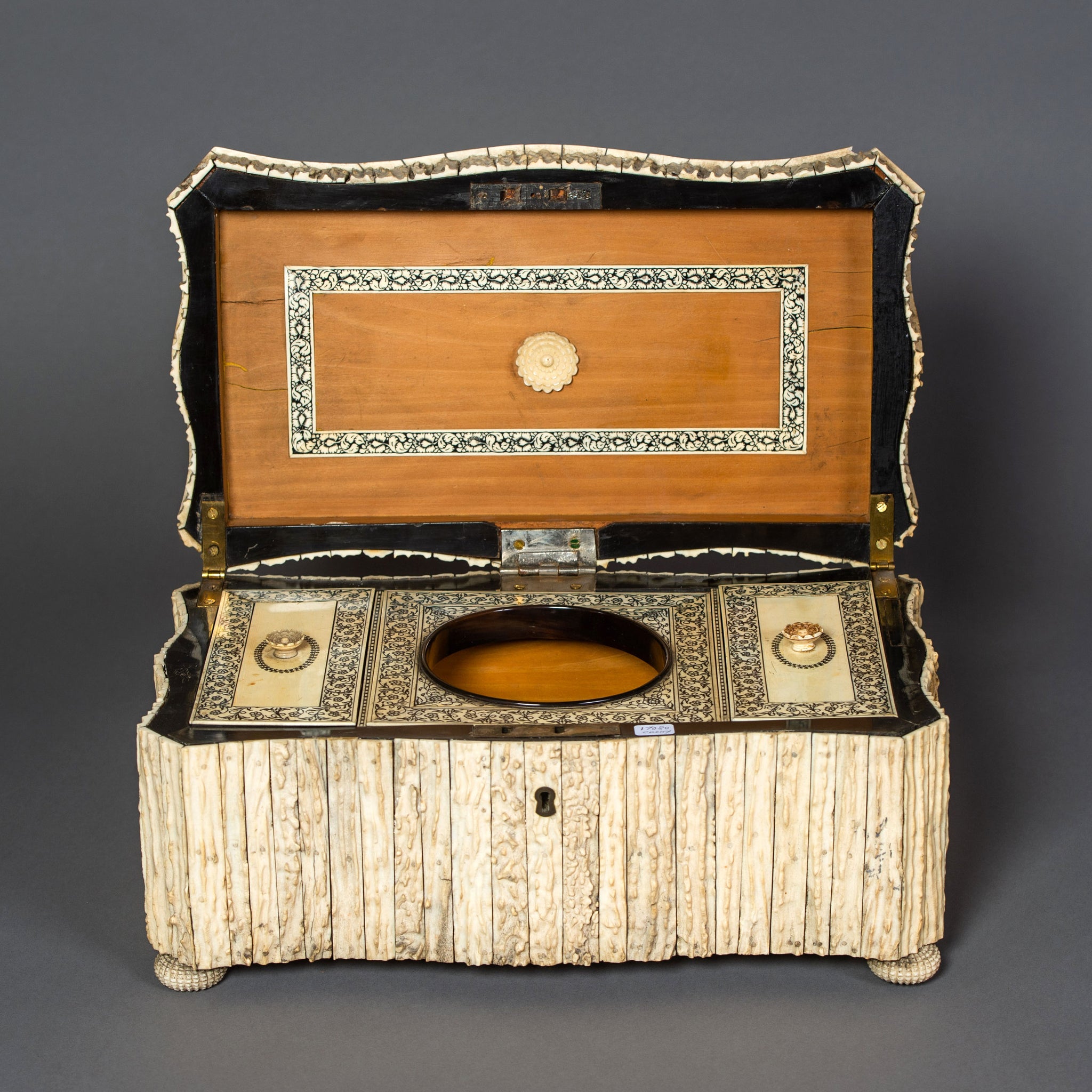 Large Indian Elk Horn Tea Caddy