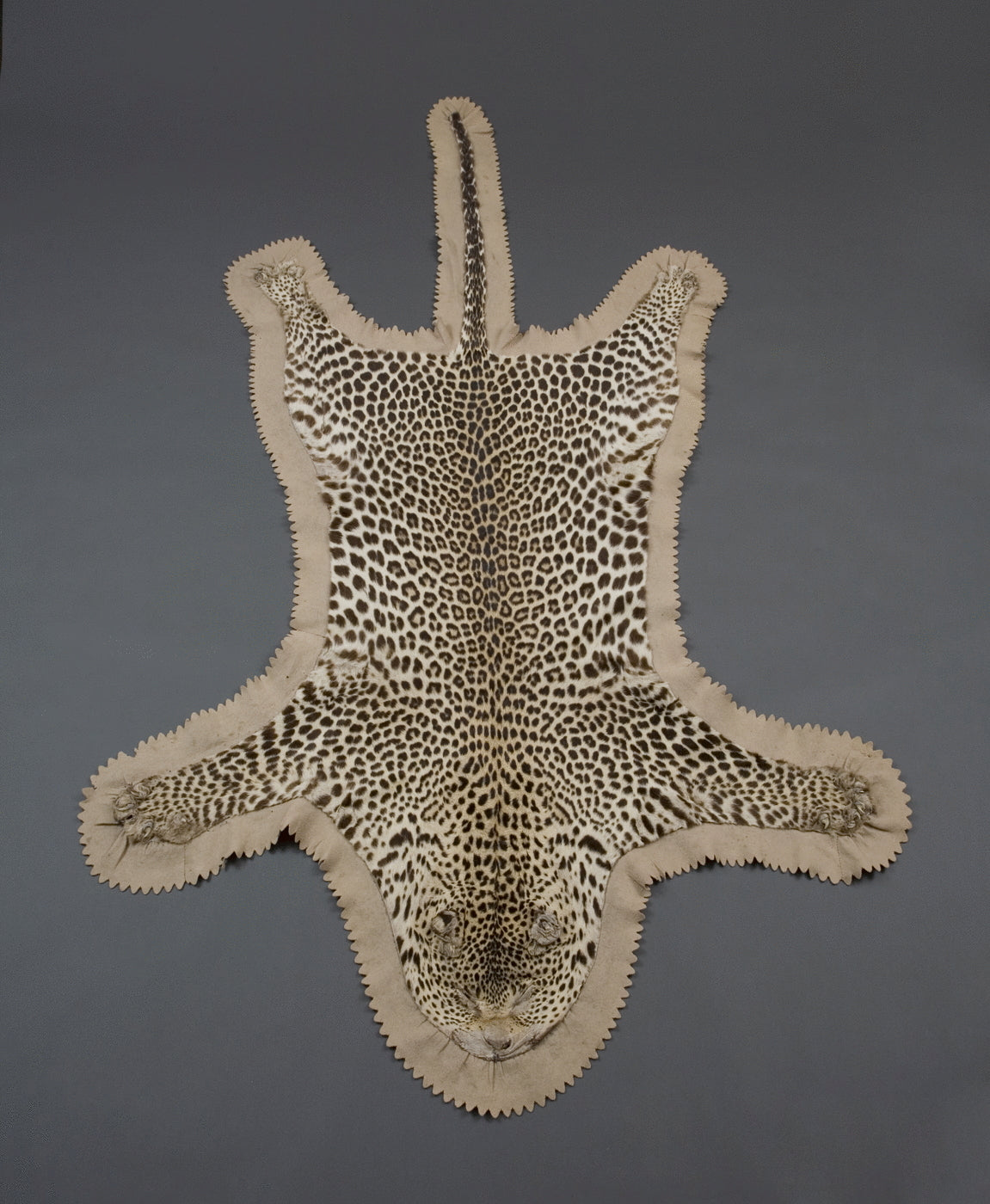 25.  A Fine Example Of A Mounted Leopard Skin