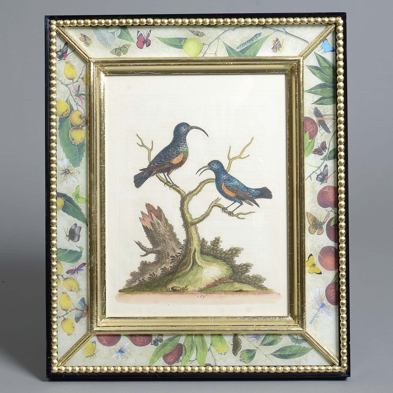 Set of Eight Hand Coloured Engravings of Birds