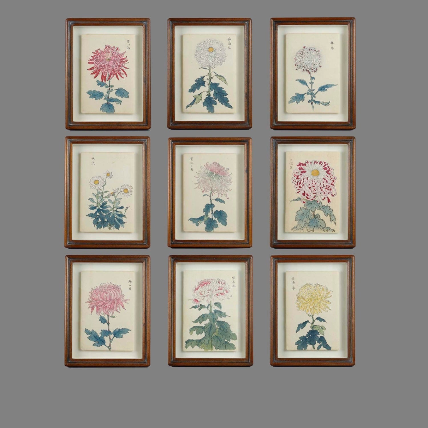 Nine Japanese Botanical Prints by Keika Hasegawa 1893