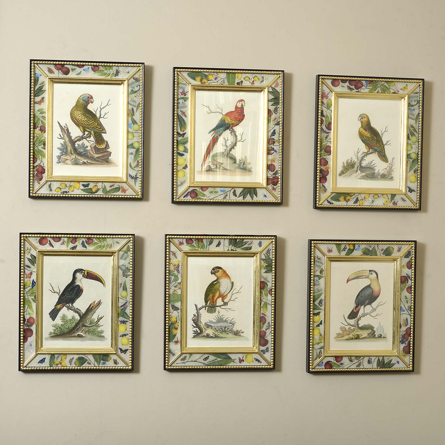 6 Mid 18th Century Engravings of Exotic Parrots with Original Hand Colouring by George Edwards