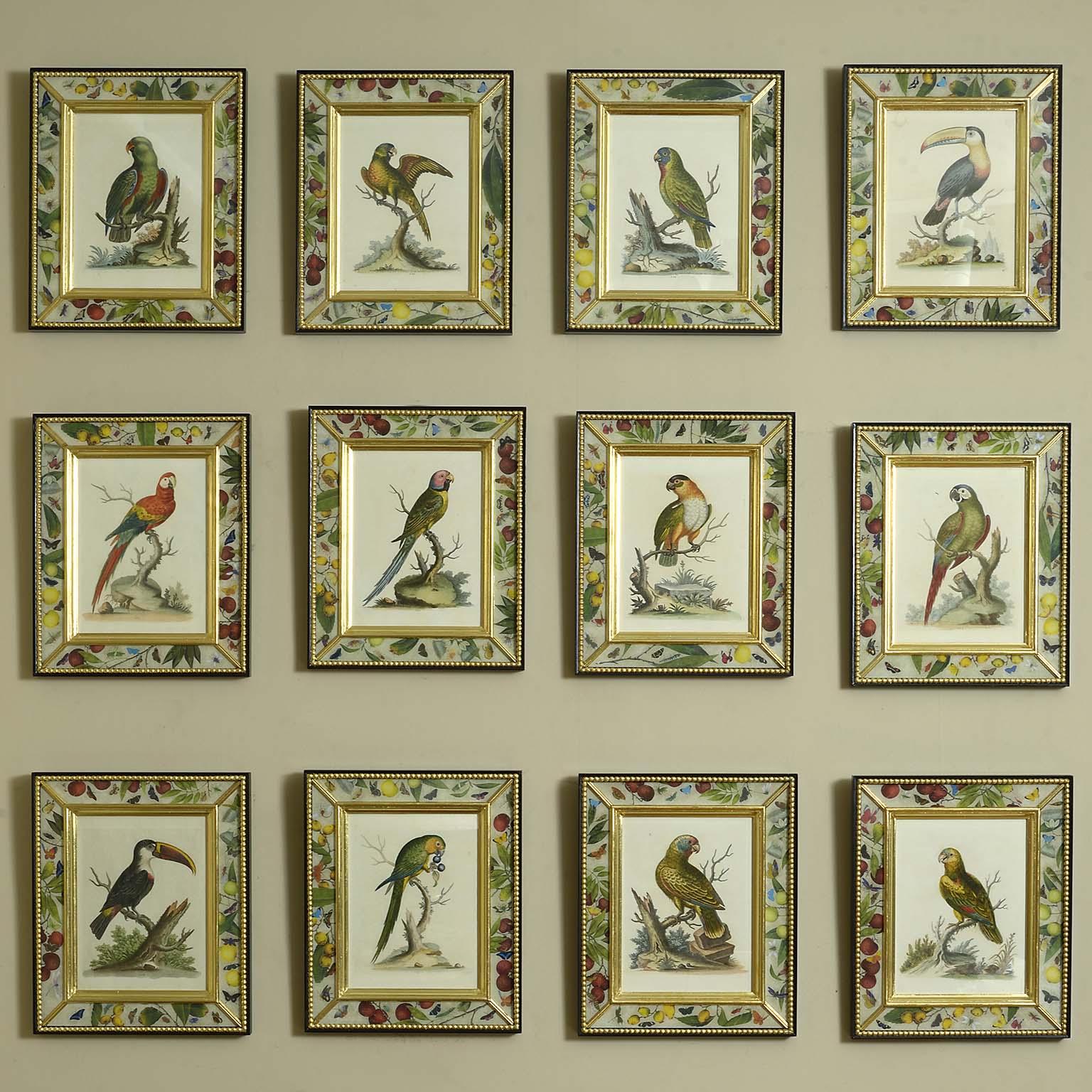 Twelve 18th Century Engravings of Parrots with Original Hand Colouring by George Edwards