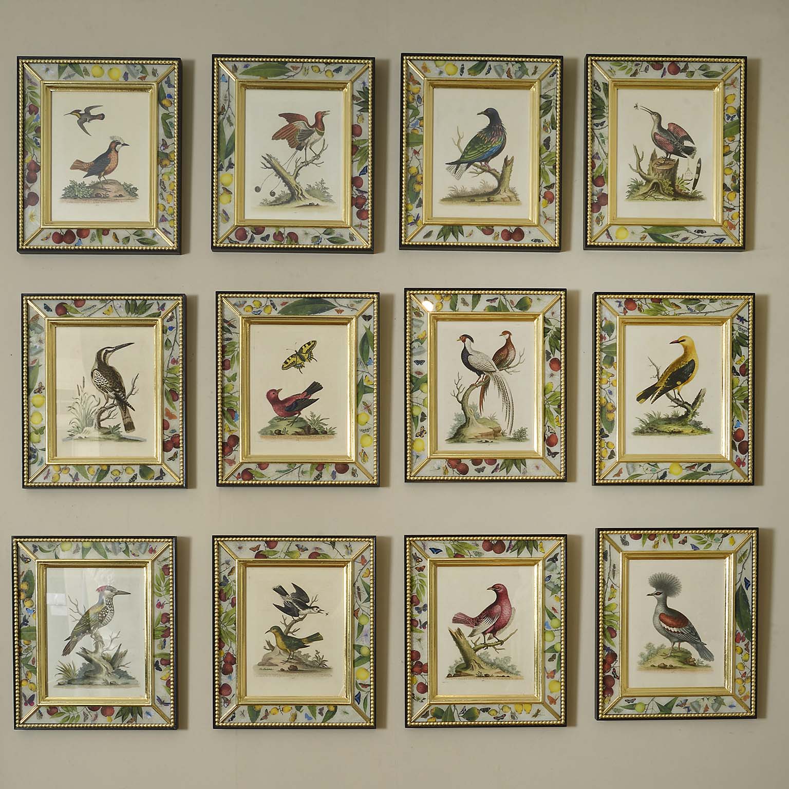 Twelve Mid 18th Century Engravings of Birds  with Original Hand Colouring by George Edwards