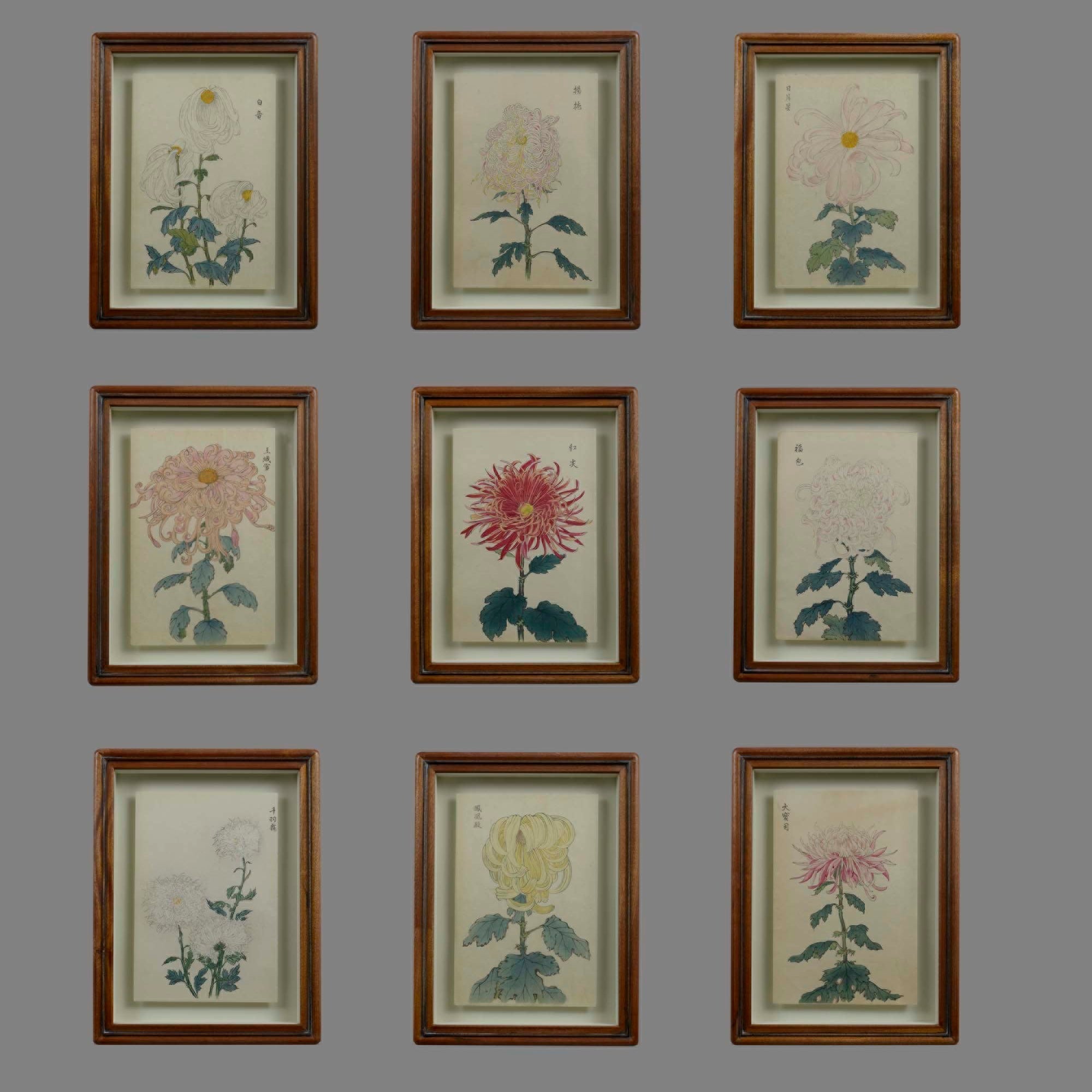 Nine Japanese Botanical Prints by Keika Hasegawa 1893