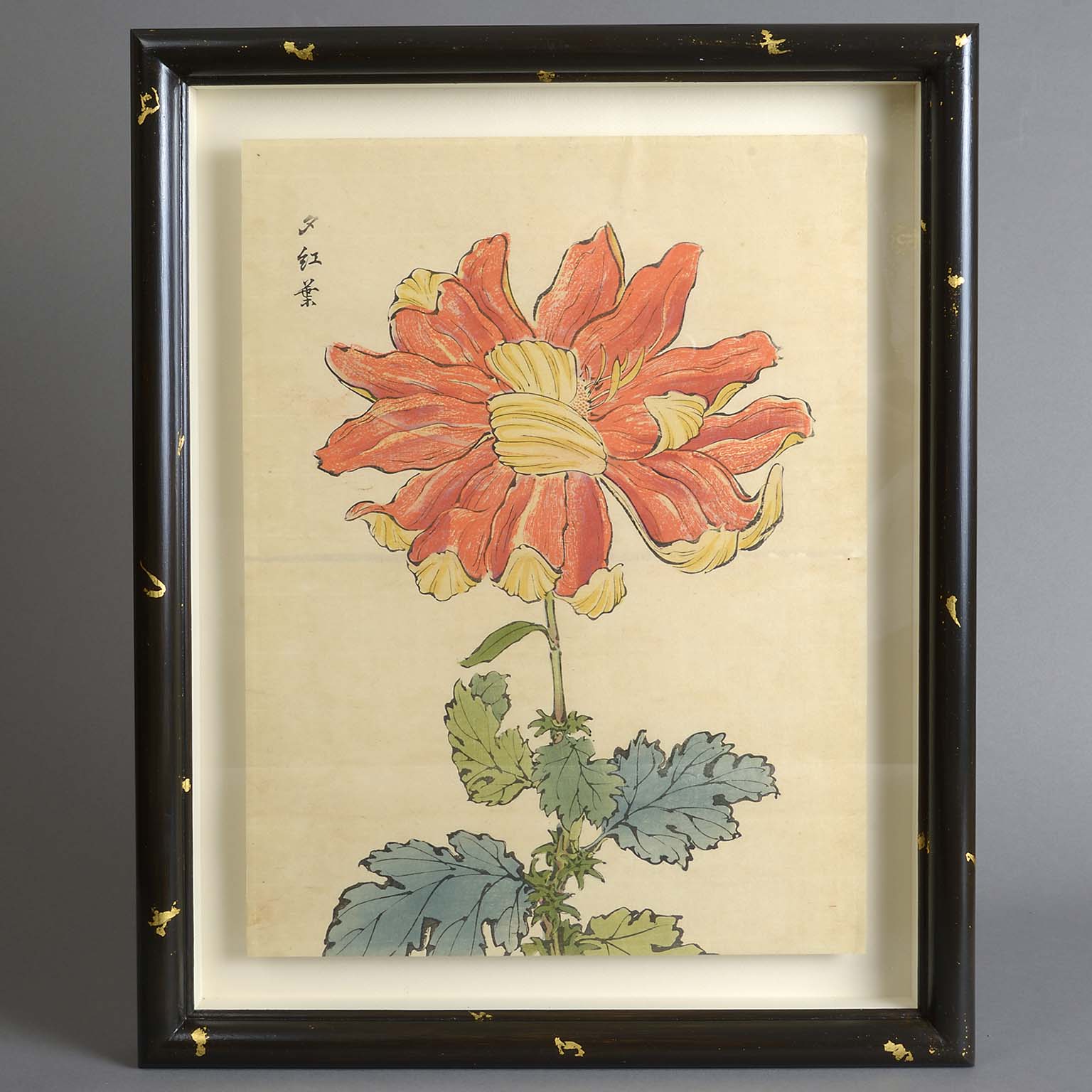 Nine Double Page Japanese Botanical Wood Block Prints by Keika Hasegawa 1893