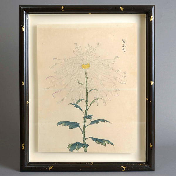 Three Double Page Japanese Botanical Wood Block Prints by Keika