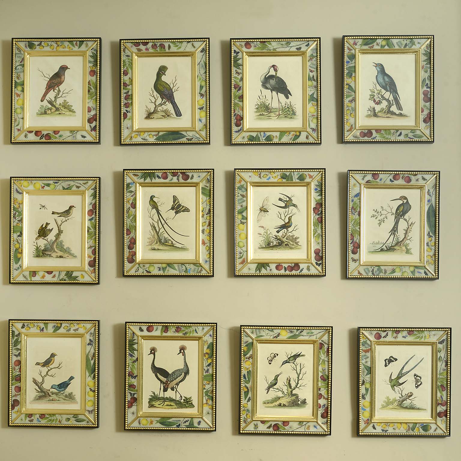 Twelve Mid 18th Century Engravings of Birds with Original Hand Colouring by George Edwards