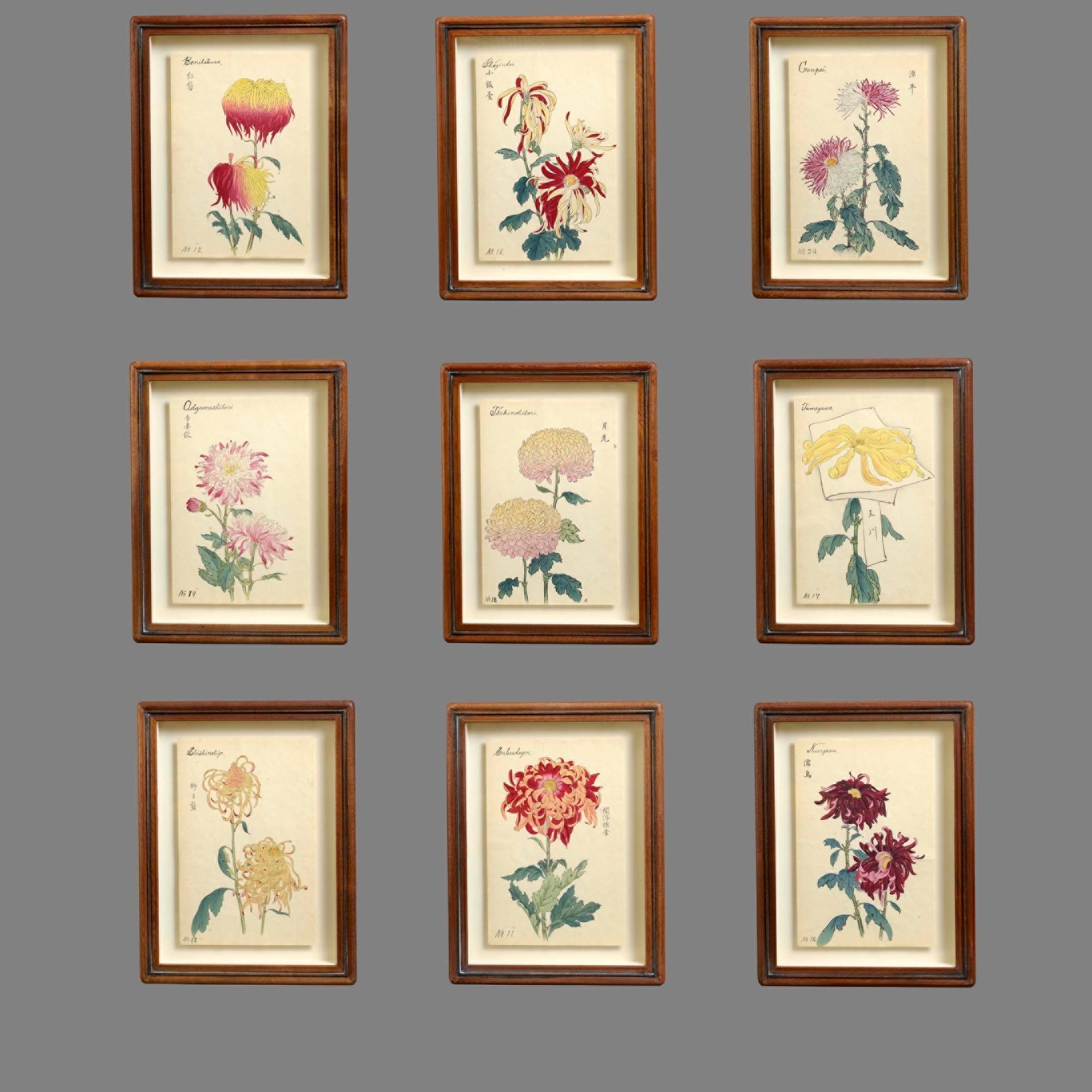 Nine Japanese Botanical Prints by Keika Hasegawa 1893