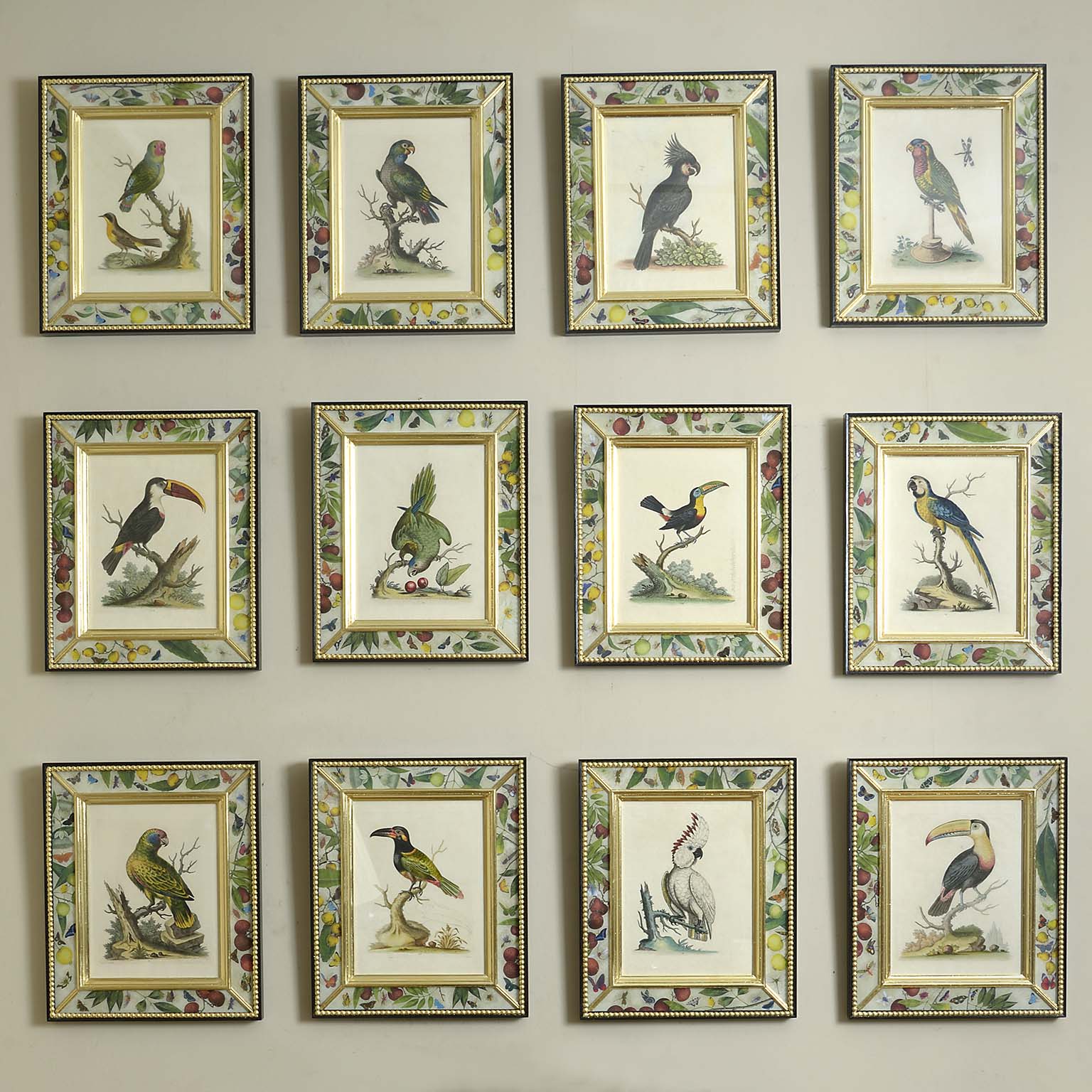 Twelve Mid 18th Century Engravings of Exotic Parrots with Original Hand Colouring by George Edwards