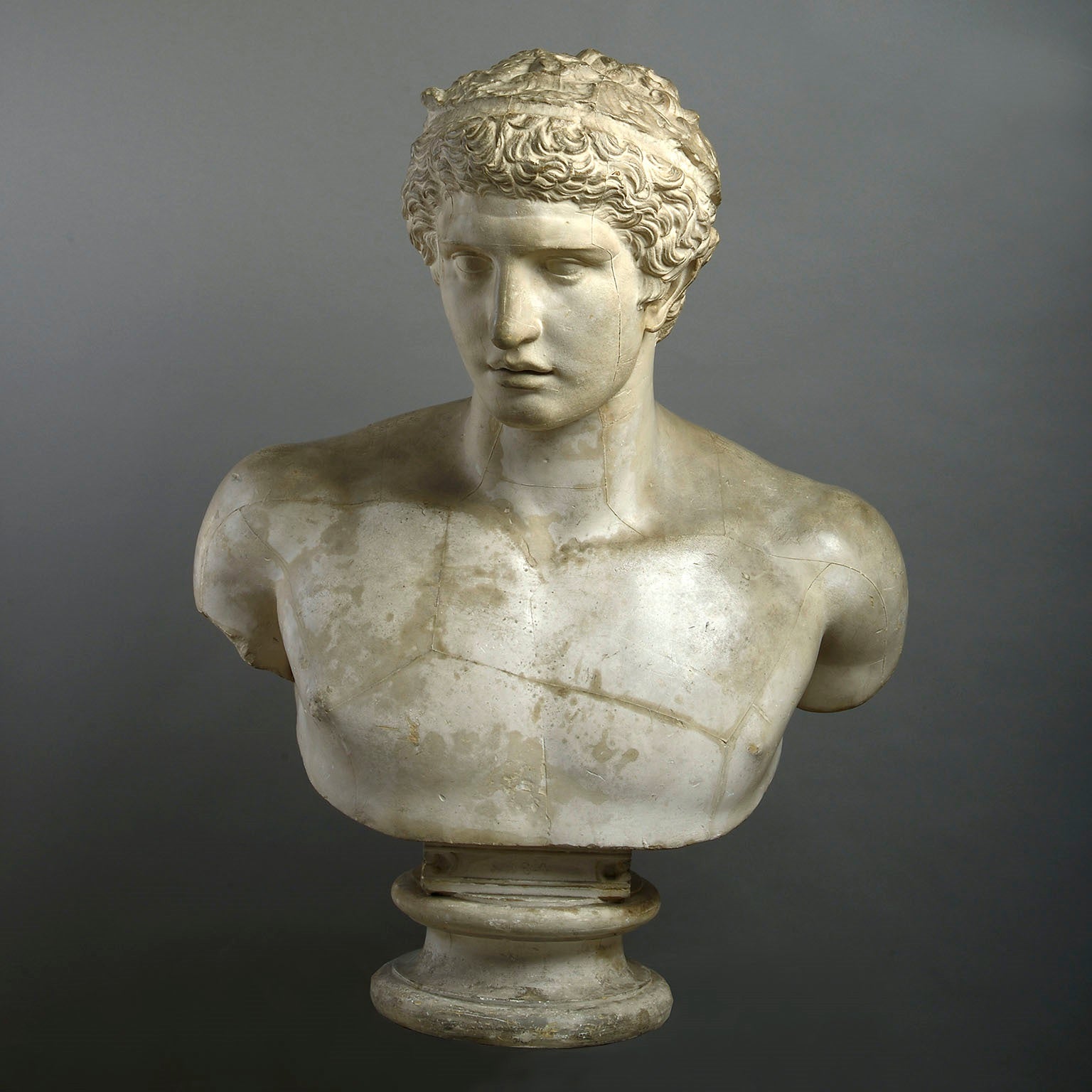A Large Plaster Cast Bust Of Hermes by D. Brucciani & Co